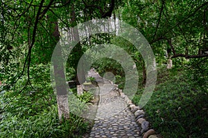 Cobble stone path in luxuriant summer woods