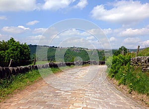 A cobbled country lane curving downhill into the distant wooded valley surrounded by dry stone walls and green fields