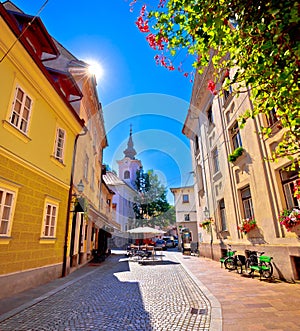 Cobbled old street and church of Ljubljana vertical view