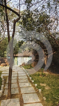 Cobbled Pathway with rocks & greenery