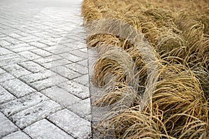 Cobbled pavement, curb and lawn with dry grass, covered with hoarfrost in the winter.