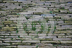 Cobbled paving stones