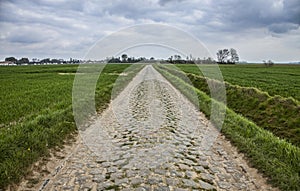 Cobbled Road