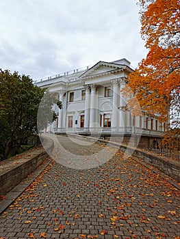 Cobbled road in fallen maple leaves to Yelagin Palace against a gray sky with clouds