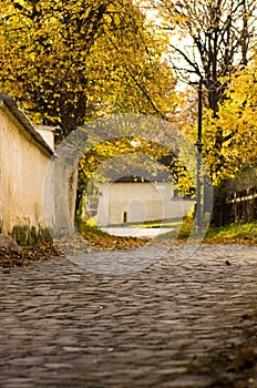 Cobbled street in autumn