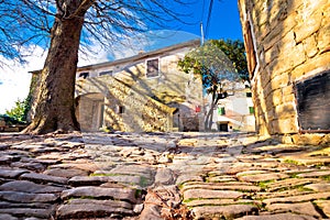 Cobbled village of Groznjan on istrian hill street view
