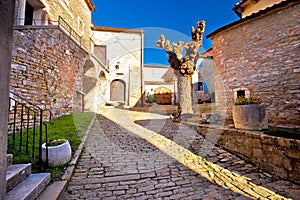 Cobbled village of Groznjan on istrian hill street view