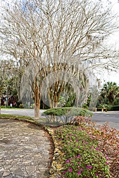 Cobbled walking path at Ravine Gardens State Park in Palatka, FL USA