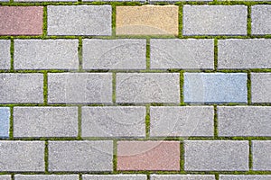 Cobbles close-up with a green grass in the seams. Cobblestone pavement