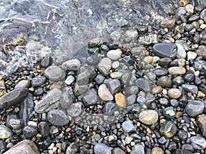 Cobbles and Pebbles at Seaside of Bushan