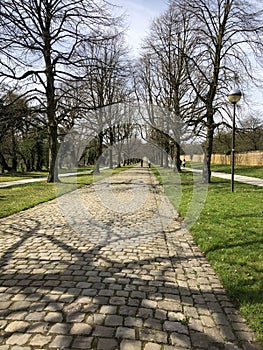 Cobblestone lane and trees, Alden-Biesen, Belgium