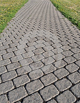 Cobblestone Path photo