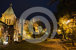 Cobblestone path along Kalemegdan fortress churches, towers and walls at night in Belgrade