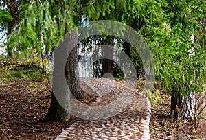 cobblestone path. beautiful forest and fresh air. pavement of pavers. walk along the trail through the forest