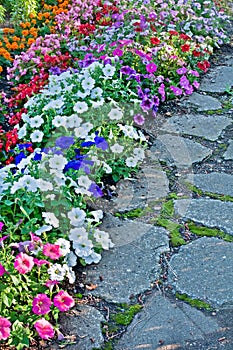 Cobblestone Path with Bedding Flowers