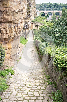Cobblestone path in Luxembourg's Grund Valley