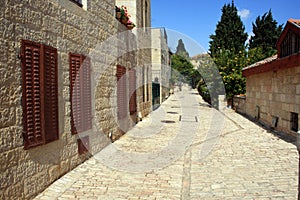 Cobblestone Path - Wide Angle