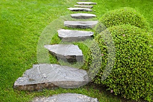 Cobblestone pathway in garden