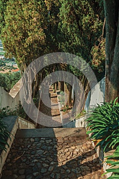 Cobblestone pathway with steps going down the hill