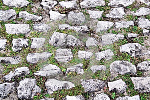 Cobblestone pavement with green grass in between the stones