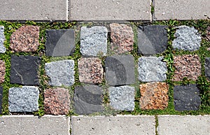 Cobblestone pavement overgrown with moss and grass