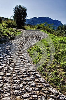 Cobblestone road photo