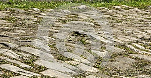 Cobblestone Road- Detail