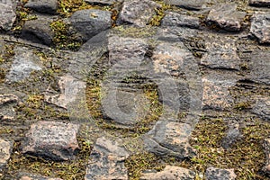 Cobblestone Road- Detail