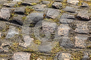 Cobblestone Road- Detail