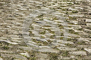 Cobblestone Road- Detail photo