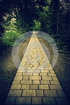 Cobblestone road in the forest