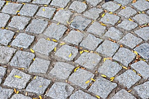 Cobblestone road with grass, dry leaves