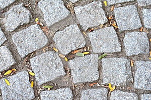 Cobblestone road with grass, dry leaves