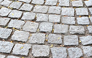 Cobblestone road with grass, dry leaves