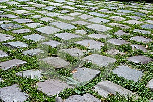 Cobblestone on the road with green grass. Background image on the theme of urban planning, vintage, travel