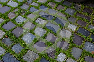 Cobblestone on the road with green grass. Background image on the theme of urban planning, vintage, travel