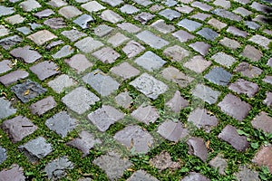 Cobblestone on the road with green grass. Background image on the theme of urban planning, vintage, travel