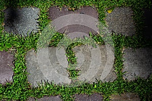 Cobblestone on the road with green grass. Background image on the theme of urban planning, vintage, travel