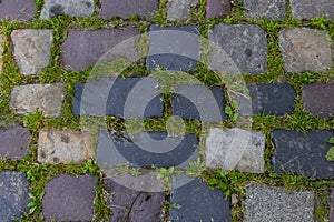 Cobblestone on the road with green grass. Background image on the theme of urban planning, vintage, travel