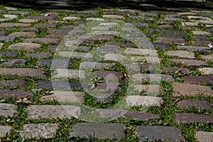 Cobblestone on the road with green grass. Background image on the theme of urban planning, vintage, travel