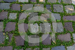 Cobblestone on the road with green grass. Background image on the theme of urban planning, vintage, travel
