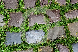 Cobblestone on the road with green grass. Background image on the theme of urban planning, vintage, travel