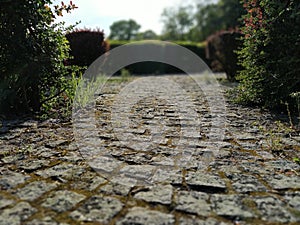Cobblestone road in the park between clipped bushes. Bokeh effect. Old stones. Defocus on the edges of the photo. Spring or summer