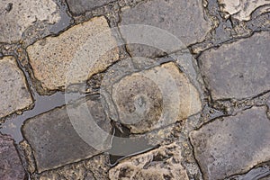 Cobblestone Road with Water Puddles