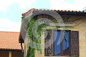 The cobblestone on the side.