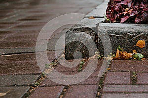 Cobblestone stone sidewalk with flower bed. Landscaping of town, ensuring safety of pedestrians