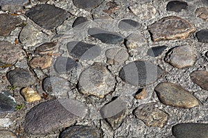 Cobblestone street in Charleston, South Carolina