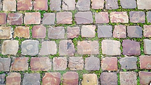 Cobblestone street with grass between the stones, texture or background