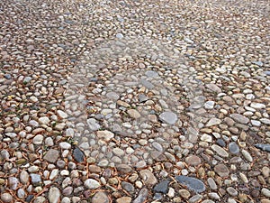 Cobblestone Street in Old Town