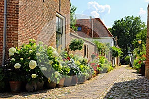 a cobblestone street with pots full of flowers next to an old brick building